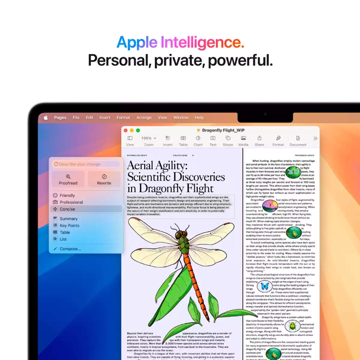 13-inch MacBook Air: Apple M4 chip with 10-core CPU and 10-core GPU, 24GB, 512GB SSD - Silver,Model A3240