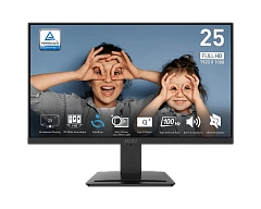 Монитор 24,5" MSI PRO MP253 IPS 1920x1080 100Hz 1ms 300cd/m 1000:1 1xD-Sub 1xHDMI 1xDP Встроенные колонки 2x3W Черный