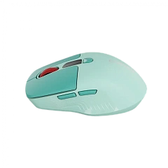 CANYON mouse MW-26 LCD Silent Dual Mode Wireless Green